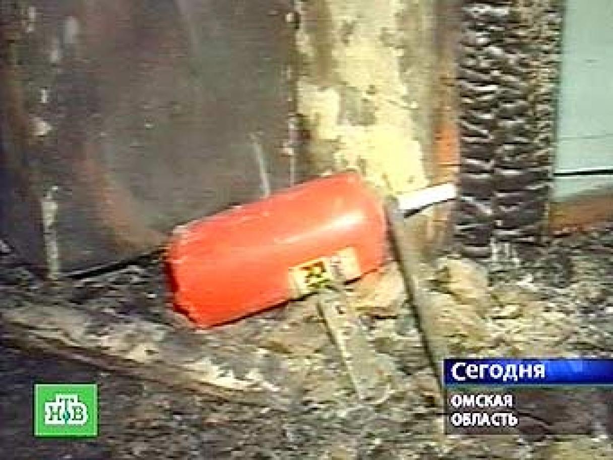 В доме престарелых в селе Екатерининское Омской области произошел пожар