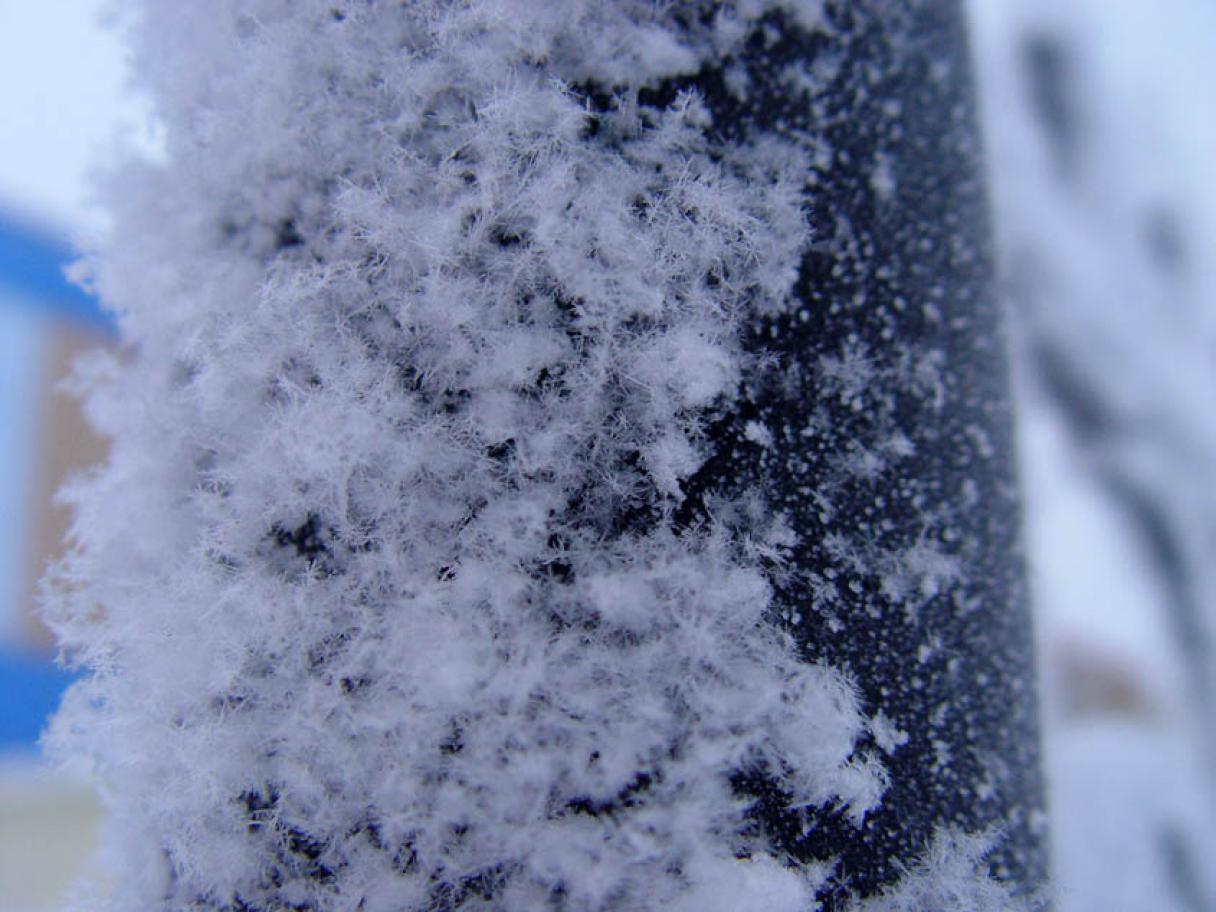 Снег - 1