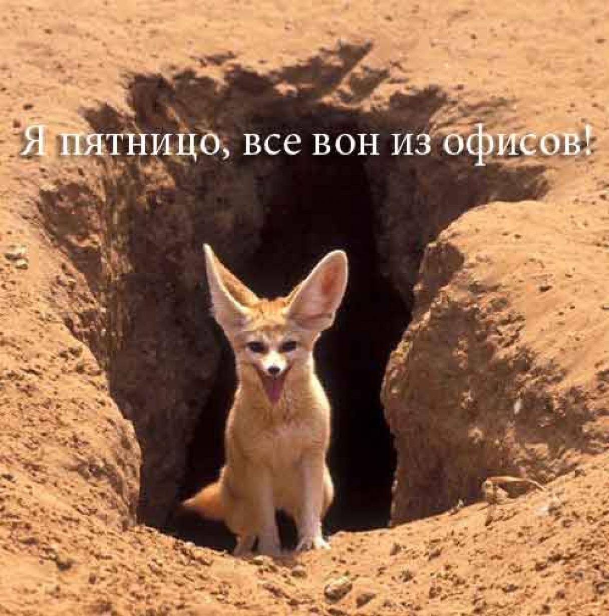 Как выявить, мастурбирует ли ваш ребёнок?