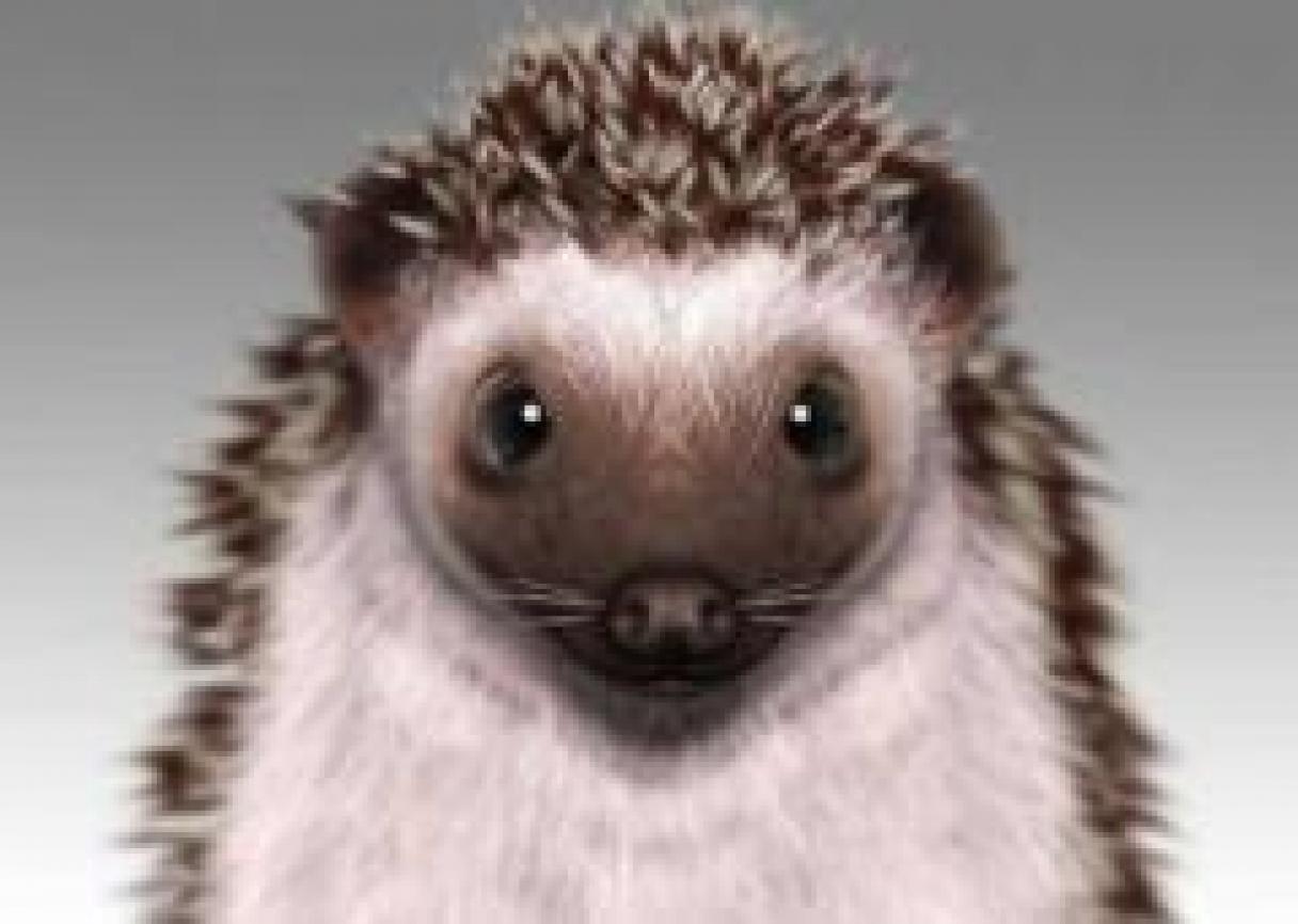 Как научиться отказывать